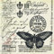 20 Servietten Butter-Fly-Mail ? Schmetterlingspost/Vintage 33x33cm