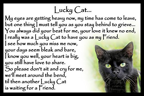 Black Cat Bereavement Memorial Flexible Fridge Magnet Gift - Lucky Cat