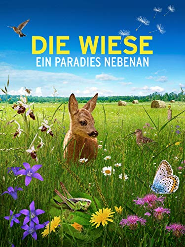 Die Wiese - Ein Paradies nebenan
