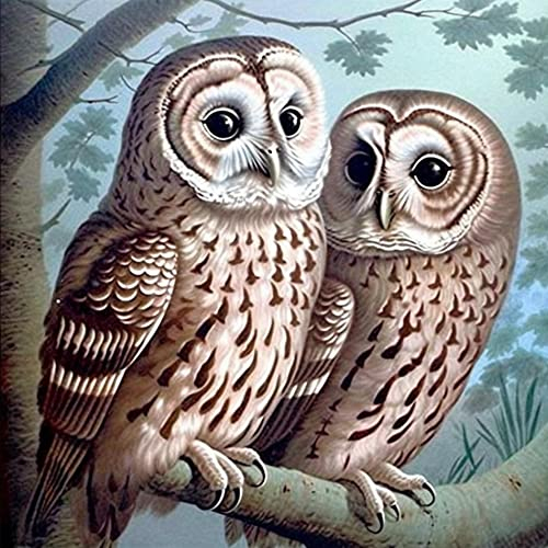 VAIIEYO DIY 5D Diamond Painting Eule, Diamant Painting Bilder Malerei Kits Tier, Malen Nach Zahlen Diamant Home Wand Decor Gemälde Kreuzstich Diamond Dekoration 35x35 cm