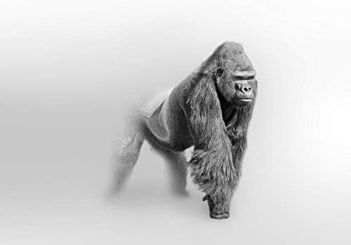 wandmotiv24 Fototapete Gorilla im Nebel, 400 x 280 cm - selbstklebende Strukturtapete, Wanddeko, Wandbild, Wandtapete, Tier Grau M5908