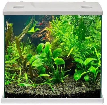 Aquariumline Cleo Plus 22,5 l Aquarium komplett mit Innenfilter - 34,5 x 23,5 x 33,5 cm grau