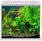 Aquariumline Cleo Plus 22,5 l Aquarium komplett mit Innenfilter - 34,5 x 23,5 x 33,5 cm grau