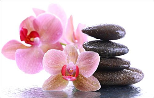 PPA DESIGN Sticker Autocollant Mural Spa Galets Orchidée SRPA0050 (30x19cm)