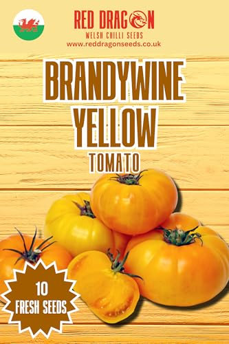 Brandywine Yellow Tomato Seeds - 10 Fresh Brandywine Yellow Tomato Seeds