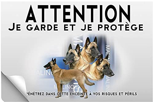 Stick Attention au chien berger belge Malinois