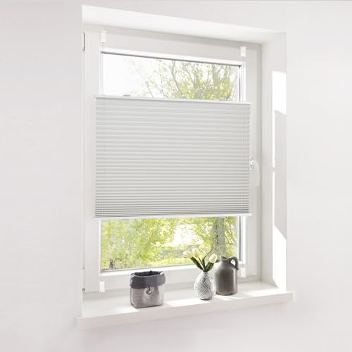 Deswell Plissee ohne Bohren Klemmfix Grau B55 x H120 cm Plisseerollo Sonnenschutz und Sichtschutz Jalousien Easyfix Plissees Lichtdurchlässig Rollo für Fenster & Tür