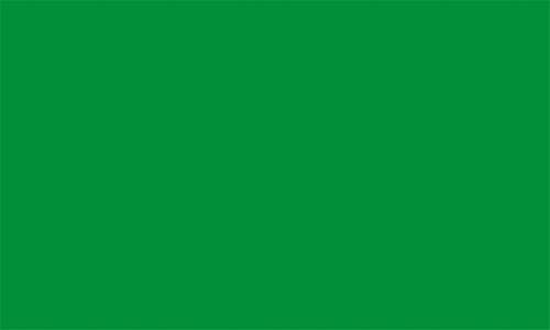 FRIP - XXL Uni GRÜN oder Lybien Fahne Flagge 2,50x1,50m Ösen