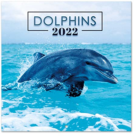 Grupo Erik Delfine Kalender 2022 Wandkalender 2022 Groß für 16 Monate, CP22004, Multi.