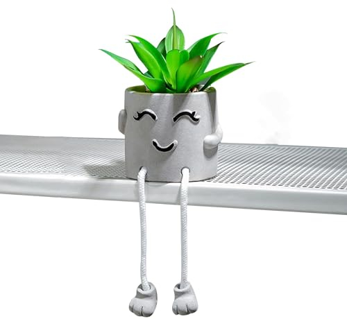 Piante Artificiali con Vaso, Decorative Piante Finte da Interno con Espressioni Sorridenti, Plastica Piante Artificiali Succulente per Ufficio Scrivania Camera da Letto Decorazione (Sorriso)