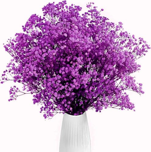 Gipizi Gypsophila Seca Violeta, 43cm Gypsophila Seca Natural Flores de 3000 Botones, Flores Preservadas para para Boda, Decoración del Hogar, Bricolaje y Fiesta