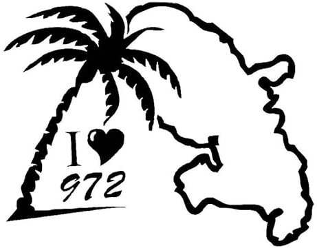 CHSLO Autoaufkleber 18,4 cm * 14,4 cm Ich liebe 972 Interessantes Wort Kokospalme Vinyl Auto Aufkleber Symmetrische Figur Fenster Aufkleber