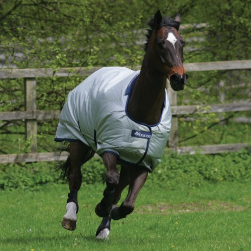 Bucas Power Turnout Light Classic 0g - Silver - Regendecke