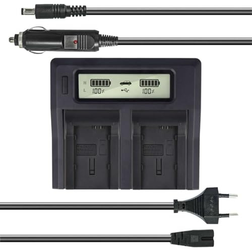 Dual Akku-Ladegerät kompatibel mit Canon BP-808, BP-809, BP-819, BP-827, BP-820, BP-828 - mit USB-Anschluss, LCD-Display und Kfz-Ladekabel - Schnellladegerät