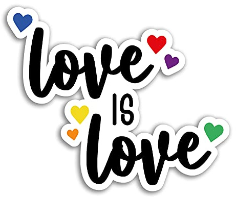 2 x 10 cm breite Vinyl-Aufkleber Love is Love – Pride LGBTQ Rainbow Gay Aufkleber #75358