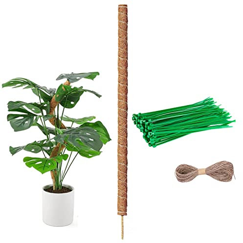 Moosstab für Monstera, 80cm Monstera Rankhilfe, Biegsame Moosstab für Monstera mit Zubehör, Stab für Kletterpflanzen Natürlicher Pflanzenstütze