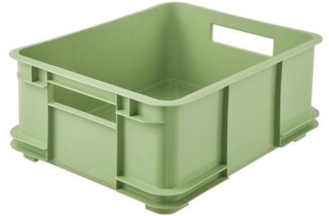 keeeper Caja de almacenamiento EURO-BOX, colección Bruno ECO, tamaño L, 43x35x17,5, ECO Verde