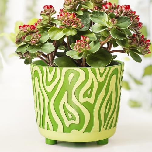 Pointnio Kleine Blumentöpfe, bunt, geschnitzt, gewellt, zweifarbig, ideal für drinnen und draußen, perfekt für Sukkulenten und Kakteen, Raumdekoration, ästhetisch für modernes Zuhause