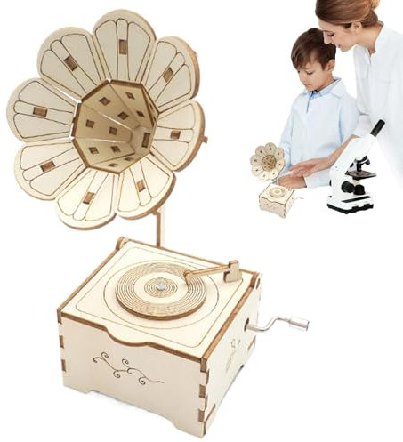 Grammofono puzzle in legno, puzzle con carillon in legno - Modello creativo di decorazione per grammofono | Giocattolo da costruzione di modellini di grammofoni per strumenti musicali, artigiana