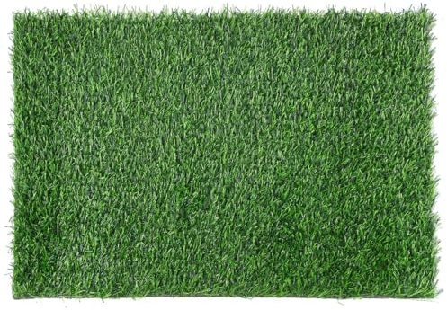 BESPORTBLE Fußmatte Gras: Anti-rutsch Türmatte Aus Kunstrasen 60 X 40 cm Pflegeleichte Fußmatte Für Innen Und Außen Ideale Lösung Für Eingangsbereich Und Garten
