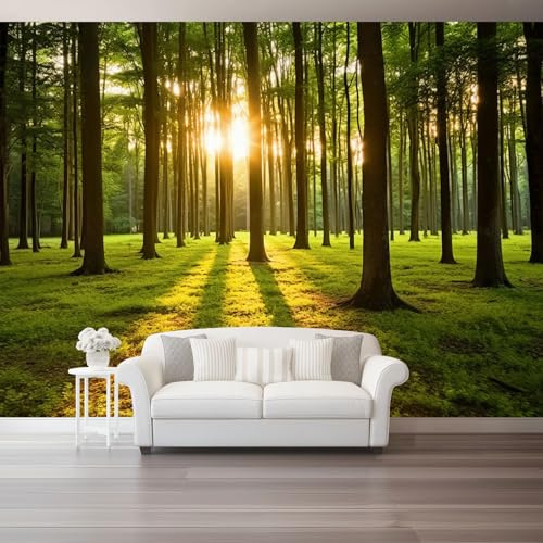 Carta da Parati Non Tessuta 300 x 210 cm, Natura Foresta Sentiero Nel Bosco Stampa Carta da Parati per Decorazione Murale - Verde Mural per Pareti Della Camera da Letto Soggiorno
