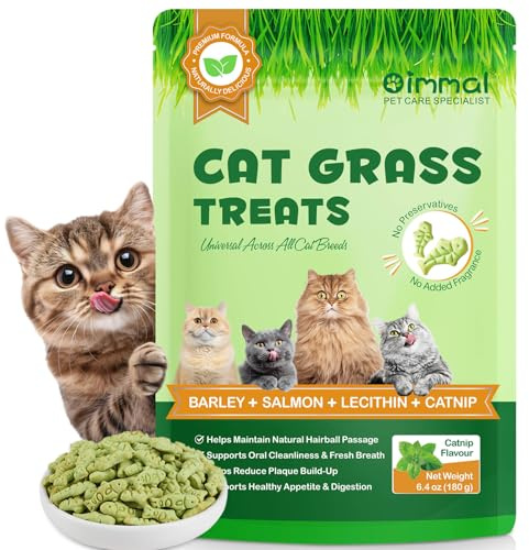 Cat Grass Treats, Cat Grass for Indoor Food, 180g Crunchy Dry Treats Biscuits for Dental and Teeth Cleaning, Hairball Remedy Remove Snacks, Healthy Digestive Natural Salmon