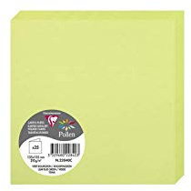 Clairefontaine 22840C Packung (mit 25 Doppelkarten Pollen, Gefaltet, 135 x 135 mm) 210g, knospenggrün