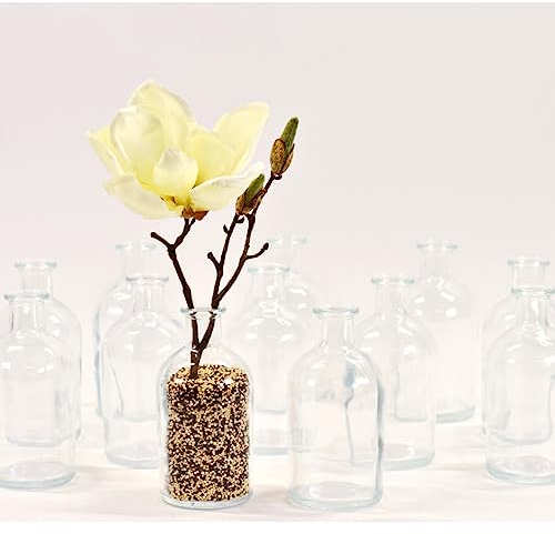 gouveo 12er Set Glasvasen Apo250 - Runde Blumenvasen aus Glas - Kleine Deko-Vasen für Zuhause, Hochzeiten, Geburtstage, Feste