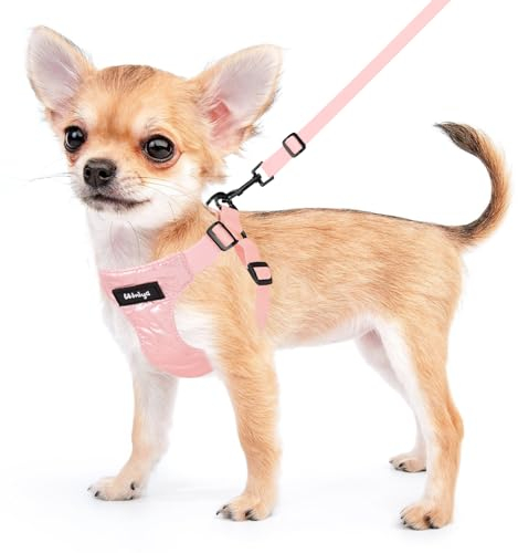 Pettorina per Cani Taglia Piccola, Imbracatura Antifuga, Collar e Accessori (M, Rose)