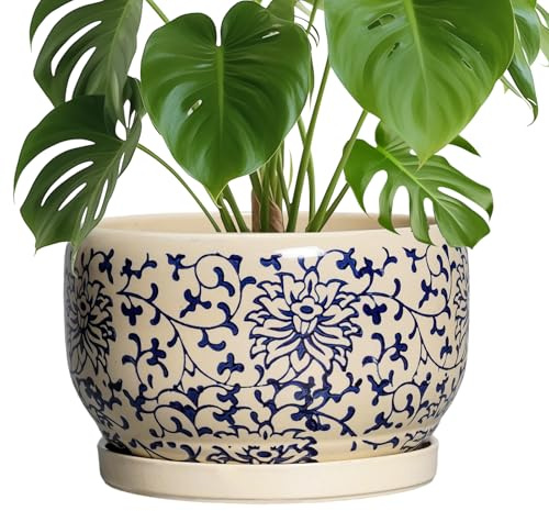 SQOWL 25,4 cm Blumentopf für den Innenbereich, Keramik-Pflanzgefäß mit Ablaufloch und Tablett, große Keramik-Blumentöpfe für den Außenbereich, Porzellan, dekorativer runder Übertopf, Raumdekoration
