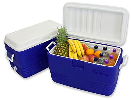 Angel Domäne Polarcooler Kühlbox 40 Liter