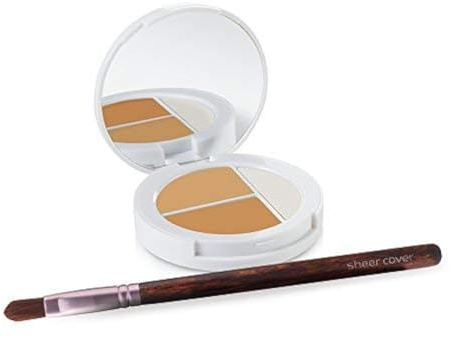Sheer Cover Studio – Conceal und Brighten Highlight Trio – zweifarbige Concealer – schimmernder Highlighter – mittel/hellbrauner Farbton – mit gratis Concealer-Pinsel – 3 Gramm