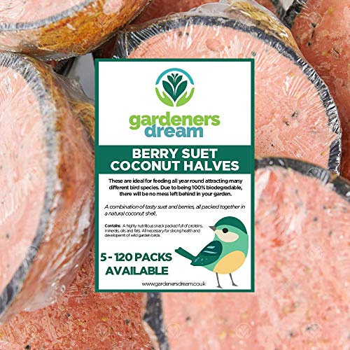 GardenersDream Berry Suet Filled Coconut Halves | Premium Garden Wild Bird Food | Protein-Rich, High Energy & Minerals Feed | Sunflower Seeds and Cereal Oat | Healthy Development for Birds (15 Pack)