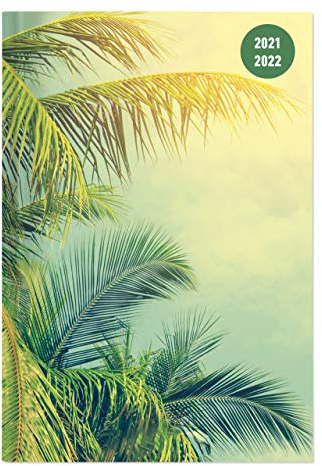 Collegetimer Tropical Dream 2022/2022 - Schüler-Kalender A5 (15x21 cm) - Tropischer Traum - Weekly - 224 Seiten - Terminplaner - Alpha Edition (Collegetimer A5 Weekly)