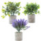 Woodside Mini Potted Artificial Plants, Indoor Outdoor Home & Office Faux/Fake Bedroom Kitchen Table Plants, Eucalyptus/Rosemary/Lavender, pack of 3
