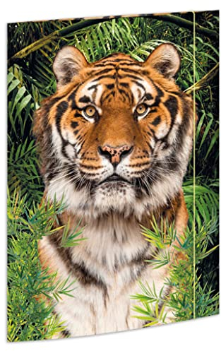 RNKVERLAG 45367 - Zeichenmappe Tiger 310 x 440 mm, Dokumentenmappe für DIN A3, mit Gummizugverschluss, 1 Stück
