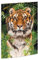 RNKVERLAG 45367 - Zeichenmappe Tiger 310 x 440 mm, Dokumentenmappe für DIN A3, mit Gummizugverschluss, 1 Stück