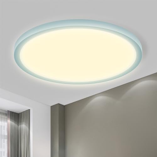 LQWELL® LED Ceiling Light, IP44 Waterproof Bathroom Lamp Round Flat 18W 3000K 1600LM Modern Simple Thin for Living Room Bedroom Kitchen Basement Office, 220 * 24mm (Blue)