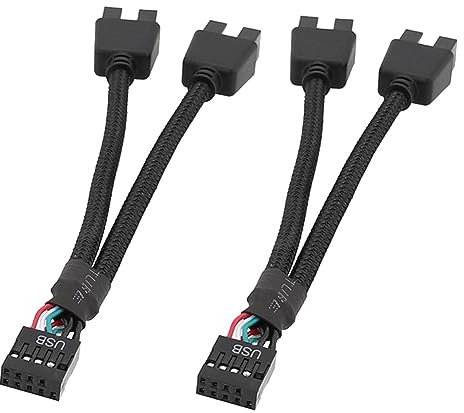 Losueeun Lot de 2 câbles d'extension USB 9 broches vers 2 mâles pour carte mère d'ordinateur - Câble d'extension audio HD pour PC - Accessoires de rechange DIY