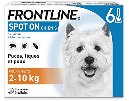 FRONTLINE Spot on Chien S de 2 à 10 kg 6 pipettes