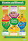 Daydream Education Poster mit Vitaminen und Mineralien, laminiertes Glanzpapier, 850 mm x 594 mm (A1), Design und Technologie