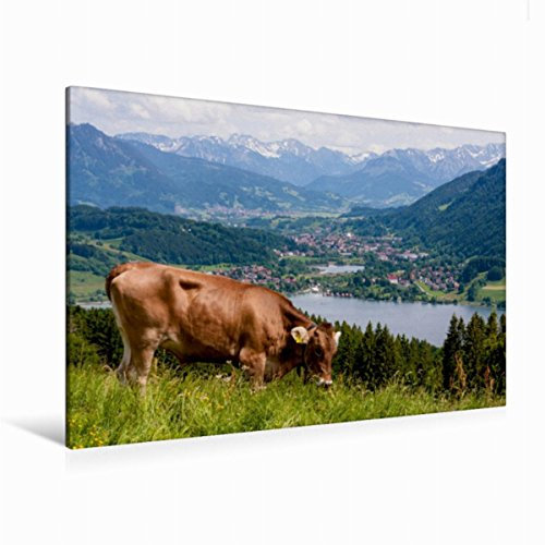 Premium Textil-Leinwand 120 x 80 cm Quer-Format Oberallgäuer Landschaft | Wandbild, HD-Bild auf Keilrahmen, Fertigbild auf hochwertigem Vlies, Leinwanddruck von Thomas Klinder