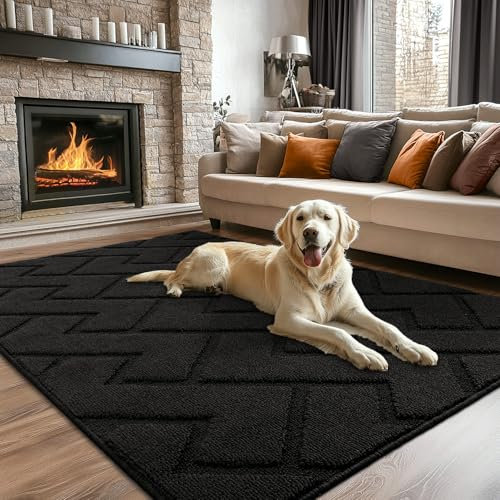 Biscpro Fußmatte Innen Außen Waschbar eingangsteppich innen Schmutzfangmatte rutschfest,Türmatte Innen Teppich für Eingang, Patio, Flur, Garten, Innen und Außen (Schwarz, 119 * 180)