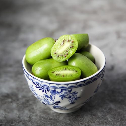 100 pcs kiwibeeren pflanzen kaufen samen - obstbäume deko pflanzen bio saatgut,Actinidia chinensis, spalierobst plant dekopflanzen bonsai bäumchen kaufen winterfeste pflanzen für