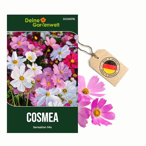 Cosmea Schmuckkörbchen Sensation Mix Samen - Cosmos bipinnatus - Cosmeasamen - Blumensamen - Saatgut für 70 Pflanzen – 5er Pack