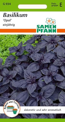SAMEN PFANN® Basilikum, rot - Basilikum-Samen Kräuter-Samen Gewürz Saatgut Samen (Ocimum basilicum)