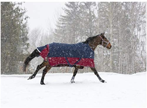 Winterdecke 300g Füllung TYREX 1200D EquiTheme Marineblau/Bordeauxrot 165cm