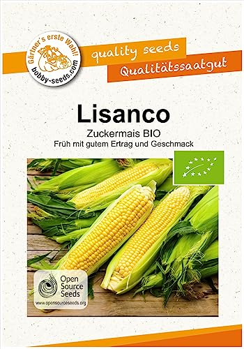 BIO-Gemüsesamen Lisanco Zuckermais BIO