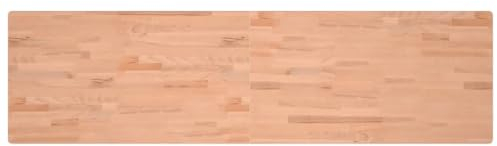 vidaXL Werkbankplatte, Arbeitsplatte Tischplatte Rechteckig, Holzplatte Platte für Flurbank Werkbank, Multiplexplatte Schreibtischplatte, 200x55x2,5 cm Massivholz Buche