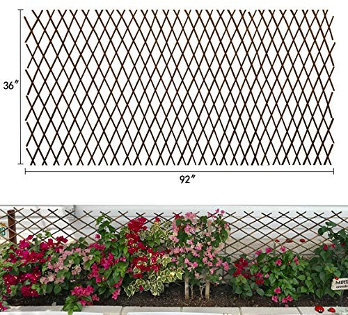 Garden Land Weidengeflecht, erweiterbar, für Pflanzen, Klettergitter, Spalier, Zaunstütze, 91 x 92 cm 1PC natürliches Holz